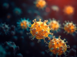 Celule canceroase în curs de vindecare.